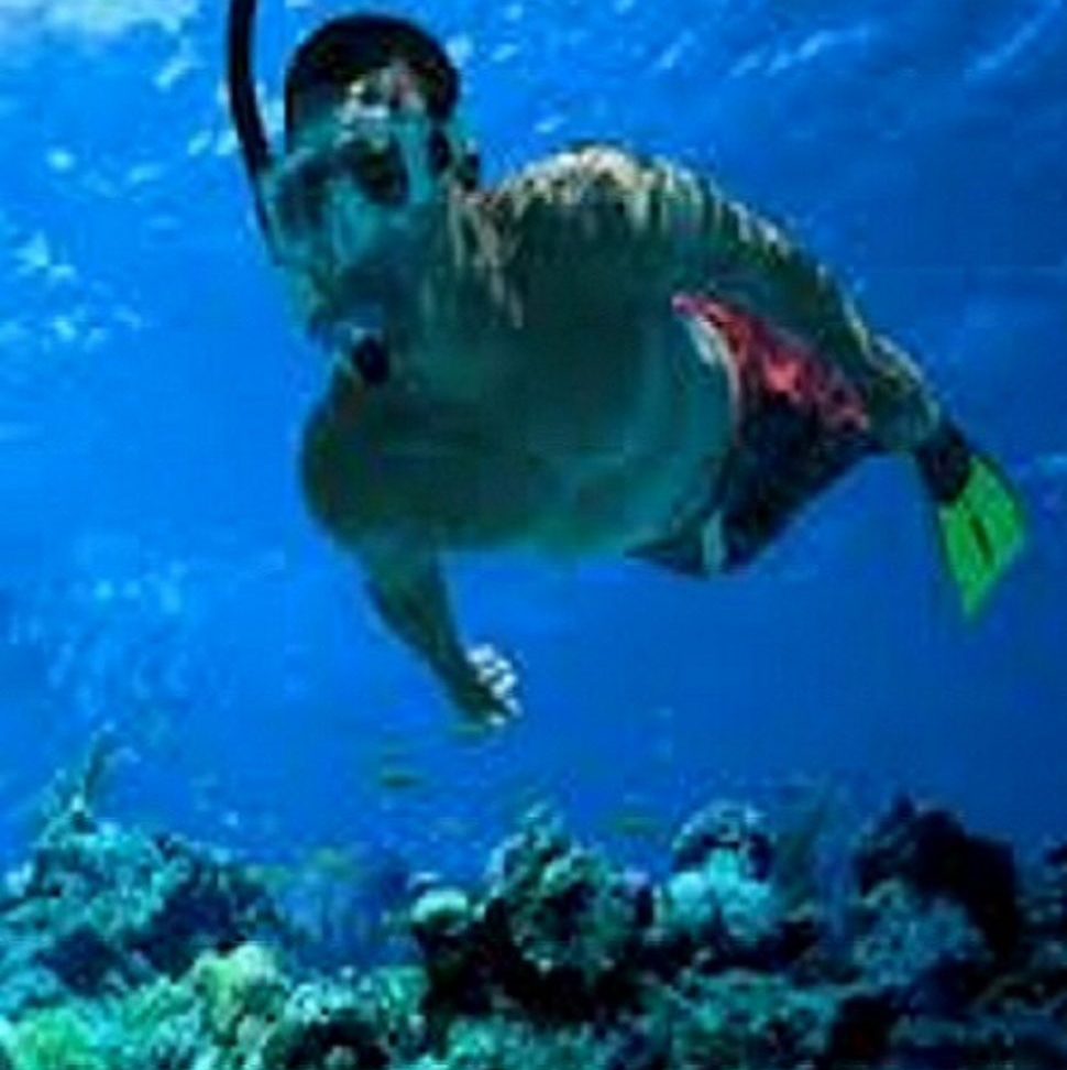 Snorkeling Trip in Key West.
